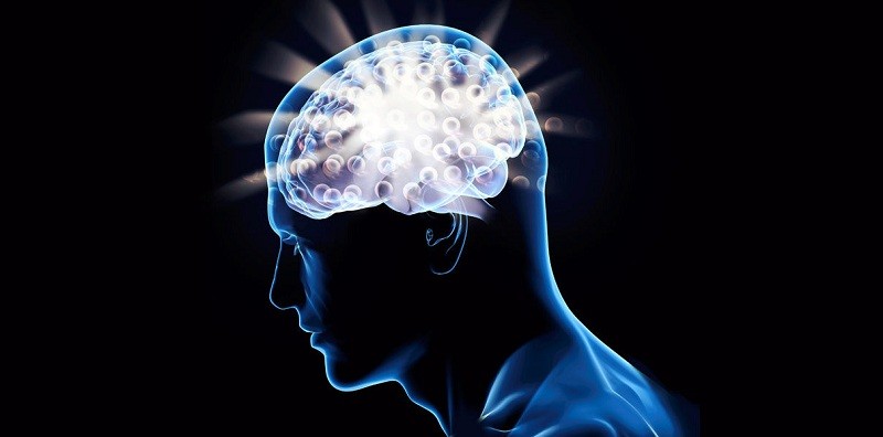 Краткое содержание статьи П.П. Гайденко «Научная рациональность и философский разум»